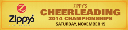 Banner_2014_cheerleading